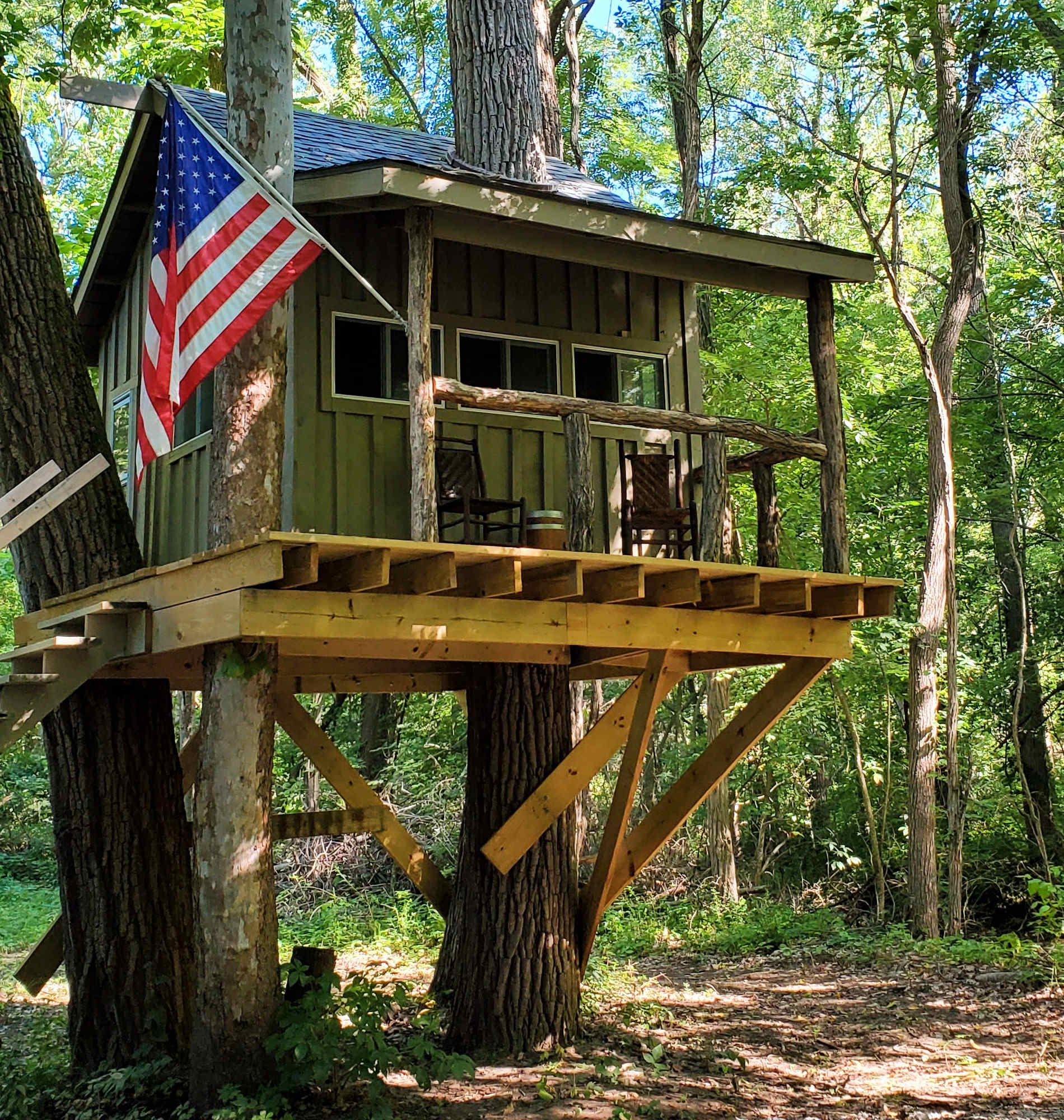 Tree house cropped