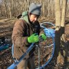Silas is a good friend, supplier and consultant for our sugaring operations. Here he is helping build our "main line" across the sugar bush.