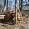 It's possible for us to work thru an entire "holzhaufen" (German wood stack) during a typical sugaring season.